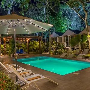  Hotel Zensus Eco Boutique