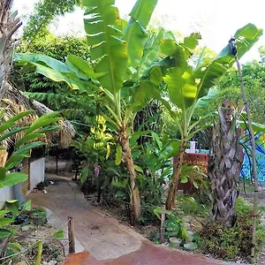 La Casa De Los Ninos Del Arbol Pensión